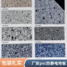 鑫恒大厂家供应 pvc防静电地板 机房用耐火性好 架空活动地板600*600