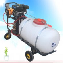 菜园果园灭虫打药机 金佳农用送风筒喷药机 养殖场消毒风雾喷药机