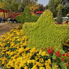 厂家设计绿雕仿真植物 仿真动物绿雕造型 园林造景大型植物绿雕