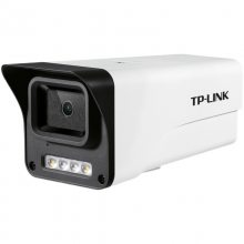TP-LINK TL-IPC534E-8 高清300万筒型音频AI人形红外网络摄像机