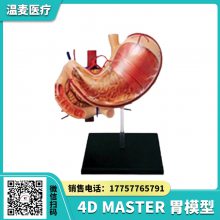  4D MASTER θģ ҽѧѵ ϵͳٽ