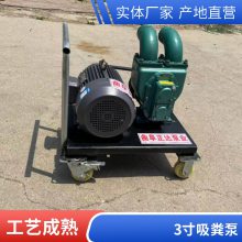 养殖场清理粪便抽粪泵 电动3寸吸污泵 淬火钢齿齿轮抽水泵