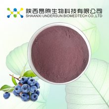 蓝莓粉99%蓝莓提取物蓝莓喷雾粉SC备案工厂供应蓝莓果粉