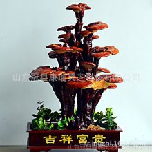 ֥ С辰֥ Ʒ֥ ޽֥辰 ֥辰 ɽ֥