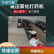 3WZ-300型园林推车打药机 志成汽油四轮喷雾器 高压雾化清洗调节