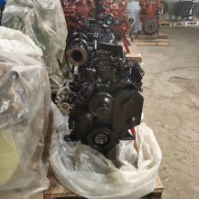 工程机械用康明斯柴油机6CTA8.3-C240 康明斯240马力发动机