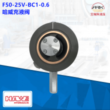 Hawe F50-25V-BC1-0.6 Һy