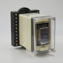Լɪ м̵ DZJ-218G AC220V ǰ ָʾṹ