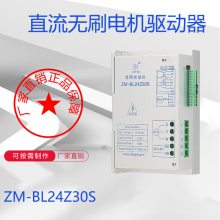 ZM-BL24Z30S ֱˢ24V,30A