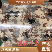 3D木纹彩钢板彩钢卷DX51D AZ材质印花板