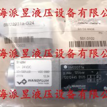 瑞士万福乐品牌 BM22031a-G24 上海宝山现货