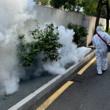 深圳退休返聘外包公司 欢迎来电 深圳市顺民实业发展供应