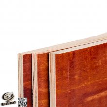 建筑模板板厂 厂家定制木板建筑杨木覆膜板多层工地夹板建筑杨施工木板板材