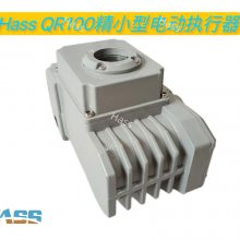 HASS С/綯ִ/綯ִ///Զ̿PLC