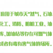 便携式单一气体检测仪 型号:STH4-EX20库号：M182053