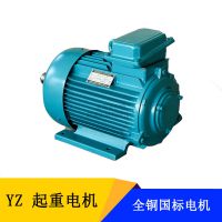 С˫ YZ/YZR200L-6-22kw綯 ұƶ