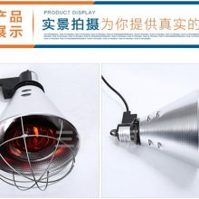 三渡照明(图)-仔猪养殖灯批发-养猪电热加温灯罩批发