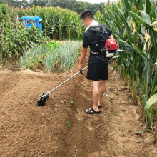 ն๦ܳݻ Ϸʱʽݻ ʥ³ƹ԰ɽ¸ݻ