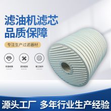 风电离线油品过滤器BLAT 27/27 PA5601325过滤效果好 雷胜 高效品质优良回油滤芯