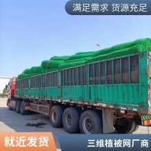 世杰土工 护坡三维土工网垫 EM3植被网 固土防止水土流失