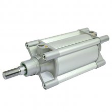 CY PAGC1D/XE ڹ˿ǲ