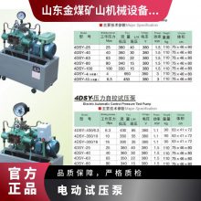 úӦ4DSY-165/6.3õ綯ѹ 63ѹ