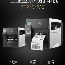 ӡZT211 300DPI