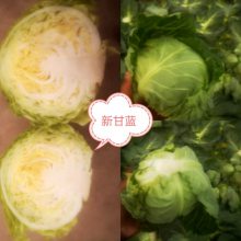 ԲξĲ_ൺĲӦ