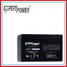 EXPERTPOWEREXP1270 ܷⷧʽ 12V7AH AGMά ߹豸