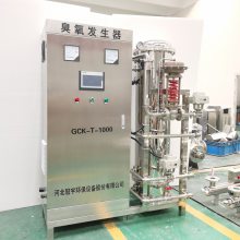 一体式氧气源臭氧发生器冠宇工厂泳池水消毒臭氧发生器