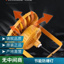LEDƻվʵҹ¯ֿ⳧ ʥ