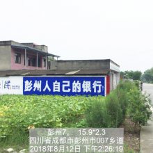 ɶǽֻ汨 ĴسǸĻӦ