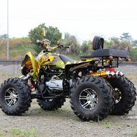 ɳ̲綯+ ԽҰɳ̲250cc