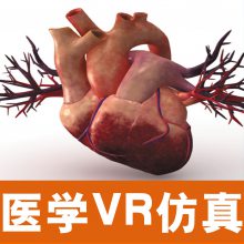 ҽҽѧVRƵʵҿμģ3D