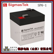 ԭװ SigmasTekSP6-2.3Ӧ ̨6V-2.3AHܵ
