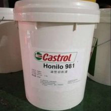 CastrolʵPenetrat WDP Spray ๦ ͸ͷʴ