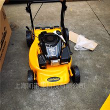 Cub Cadet Ƶ 21ĳ̲ƺ ݻ ݻ ݻ