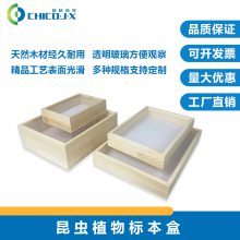 标本盒 实木标本盒 标本展示盒 动植物标本盒 智科