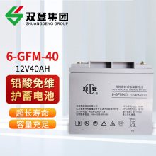 双登电池 6-GFM-40免维护铅酸蓄电池12V40AH应急UPS/EPS电源机房