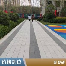 室外花园庭院地板铺广场石英砖 仿花岗岩 中国黑pc砖 生态地铺石
