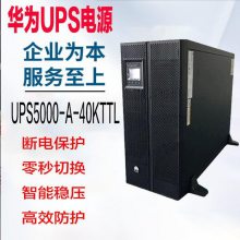 ΪUPSԴ UPS5000-A-40KTTL ʵ豸 ϵ籣 ʽѹ