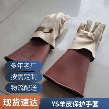 ձƤƤ|(zh)^oYS103-12-02늹