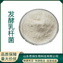 发酵乳杆菌100亿益生菌冻干粉 乳酸菌粉 固体饮料原料