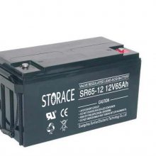 STORACESR38-12 12V38AH UPS EPS׵