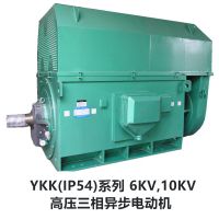 供应优质西安泰富西玛高压三相异步电动机YKK6304-10 10KV 1000KW IP44