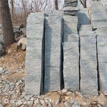 ʯʯ̨ʯ̤ʯʯǽʯʯżʯ