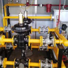新疆天然气燃气计量调压柜 燃气锅炉减压供气设备-LNG减压撬