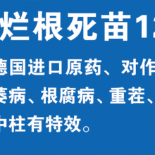 烂根死苗重茬烂根 枯萎病,根腐病专用