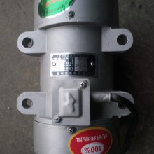 ӦϻֱZWʽ0.5KW񶯵
