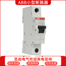 ABBѹ©籣·GSH201-AC-C40/0.03 1P+N 40A